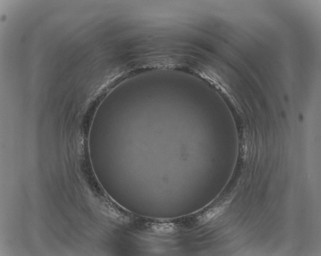 X0000063460355200601271610