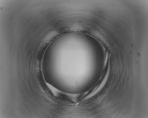 X0000063460356200601271610