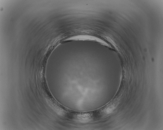 X0000063460357200601271610