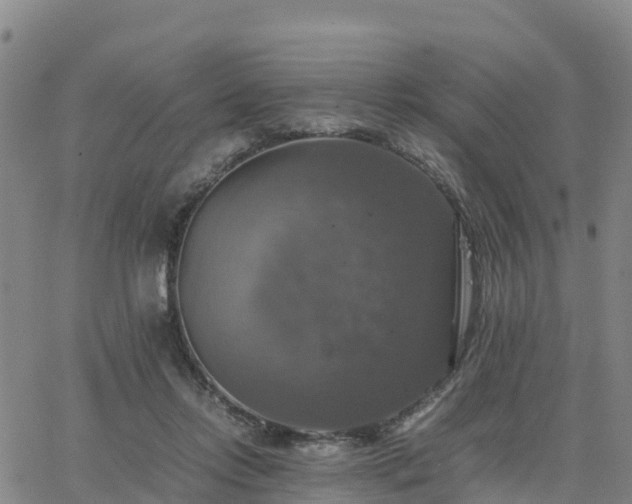 X0000063460358200601271610