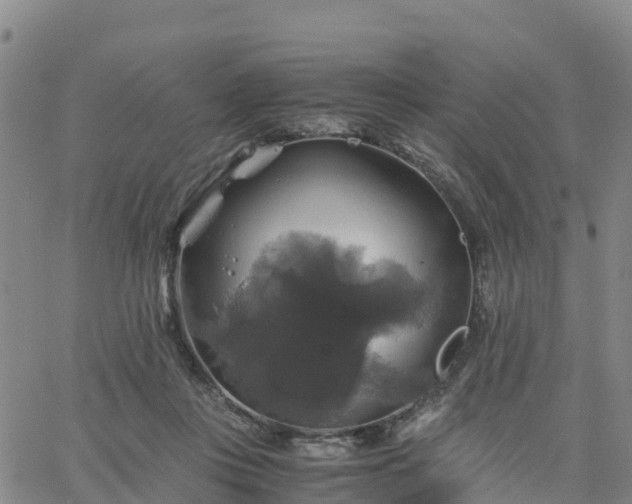 X0000063460359200601271610