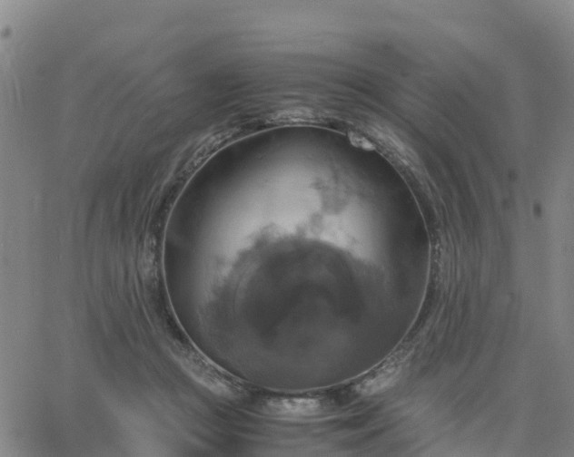 X0000063460361200601271610