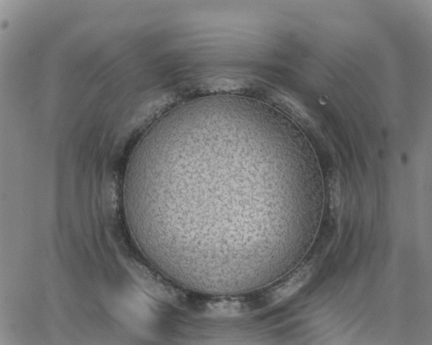 X0000063460362200601271610