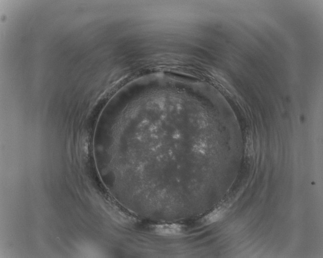 X0000063460363200601271610