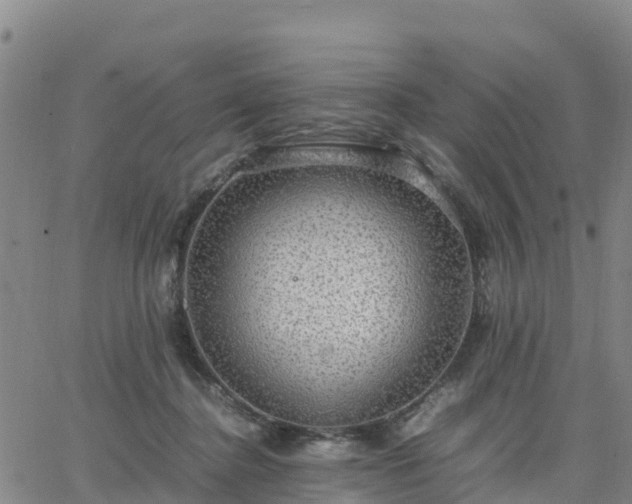 X0000063460364200601271610