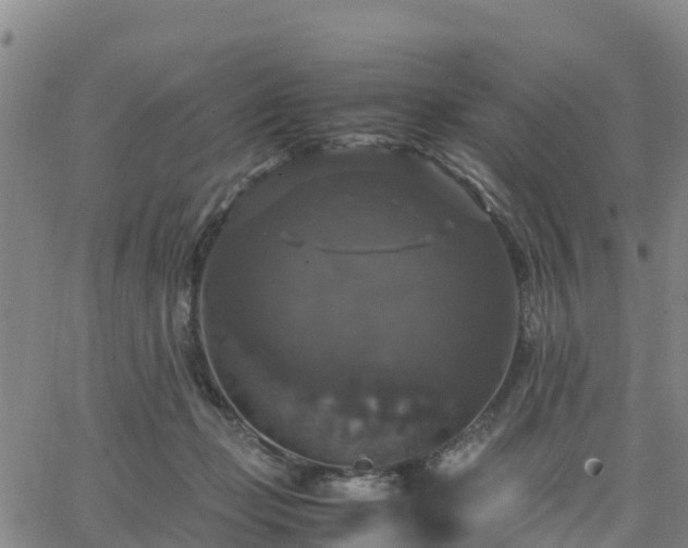 X0000063460365200601271610