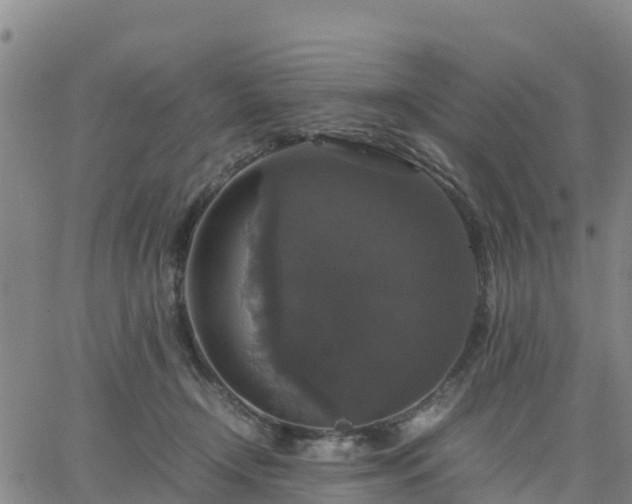 X0000063460366200601271610