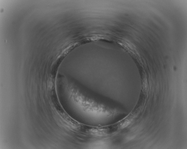 X0000063460367200601271610