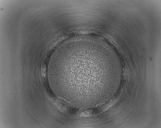 X0000063460368200601271610