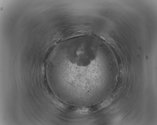 X0000063460369200601271610