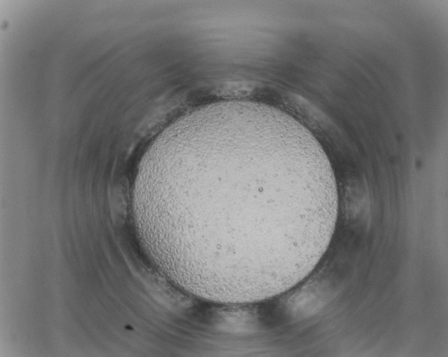 X0000063460370200601271610