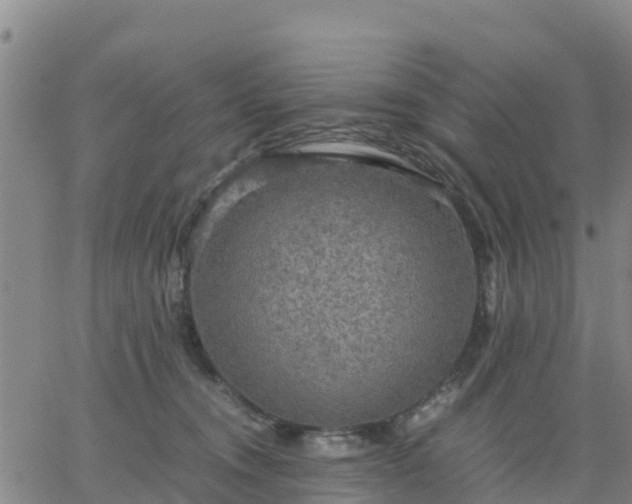 X0000063460372200601271610