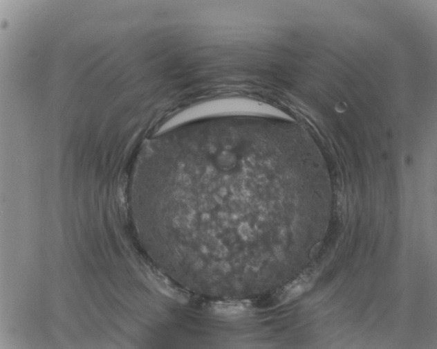 X0000063460373200601271610