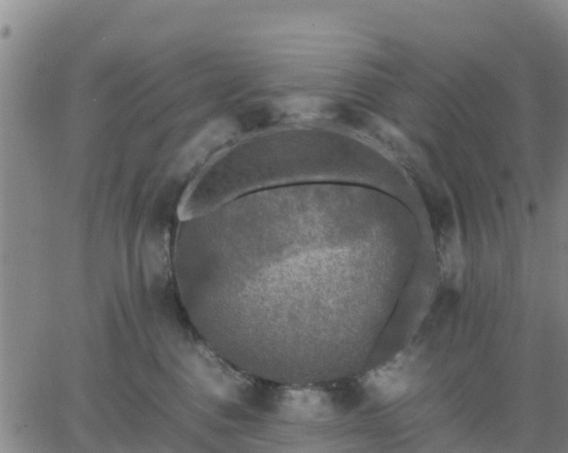 X0000063460376200601271610