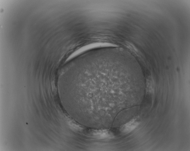 X0000063460377200601271610