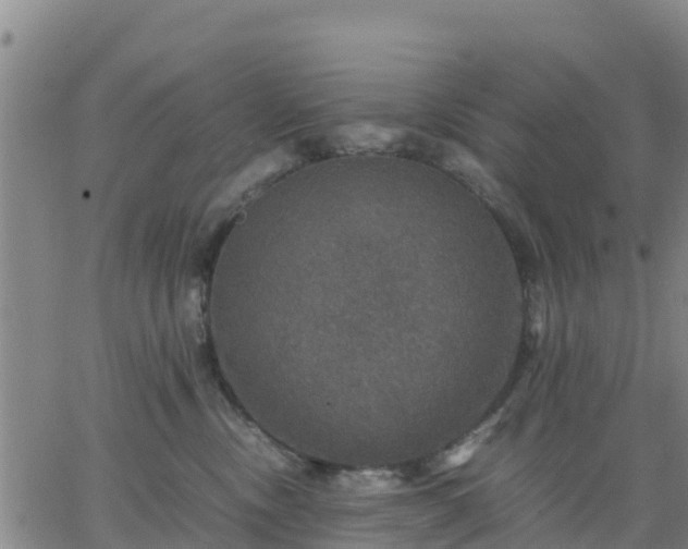 X0000063460378200601271610