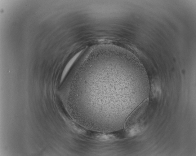 X0000063460379200601271610