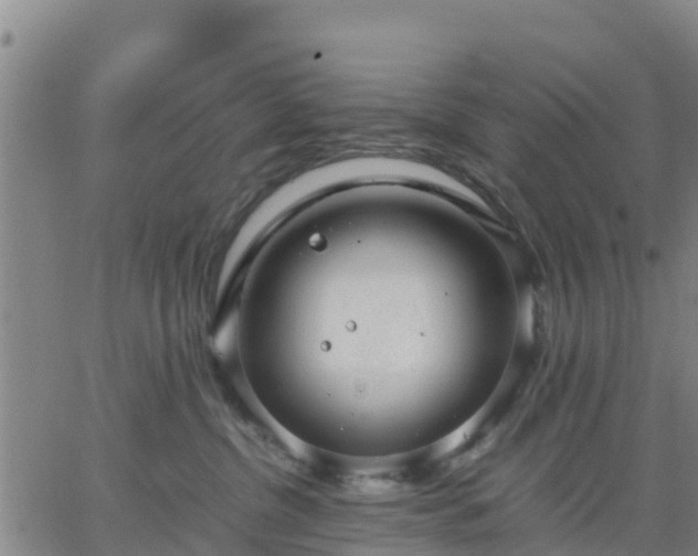 X0000063460380200601271610