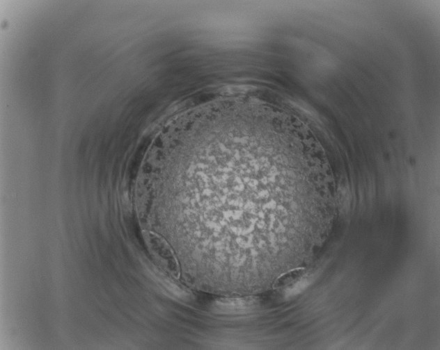 X0000063460381200601271610