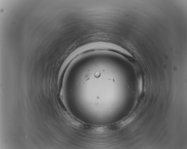 X0000063460382200601271610