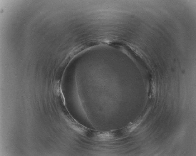 X0000063460383200601271610