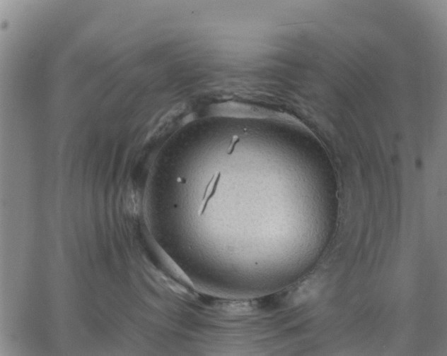 X0000063460384200601271610