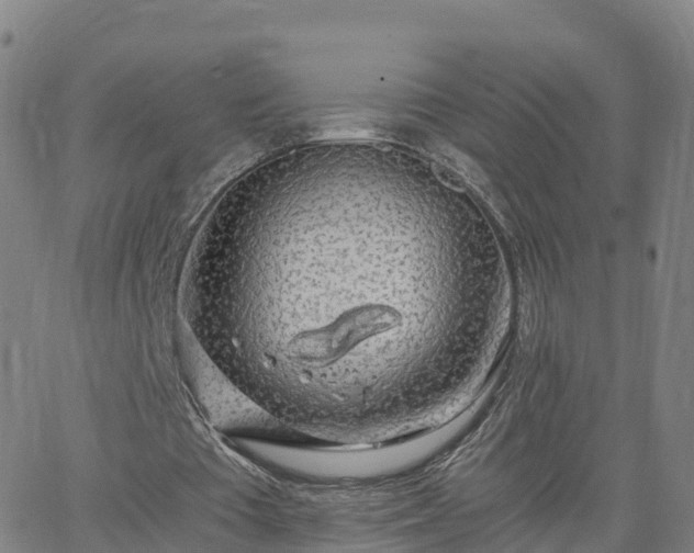 X0000063460385200601271610