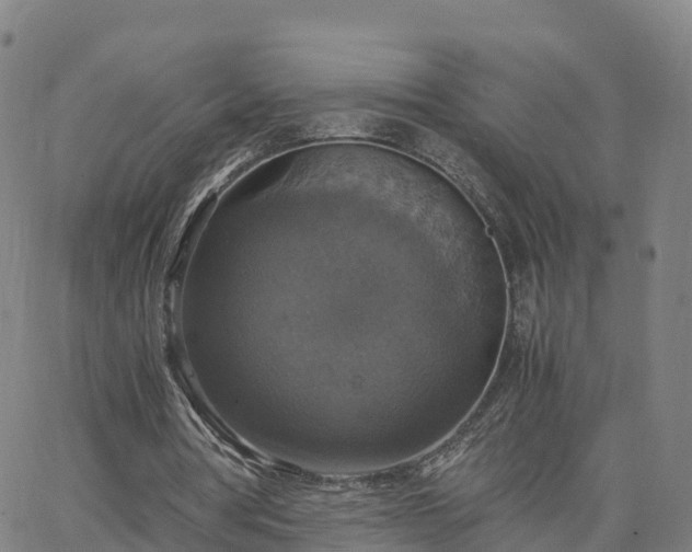 X0000063460386200601271609