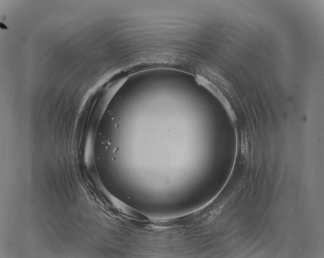 X0000063460388200601271609