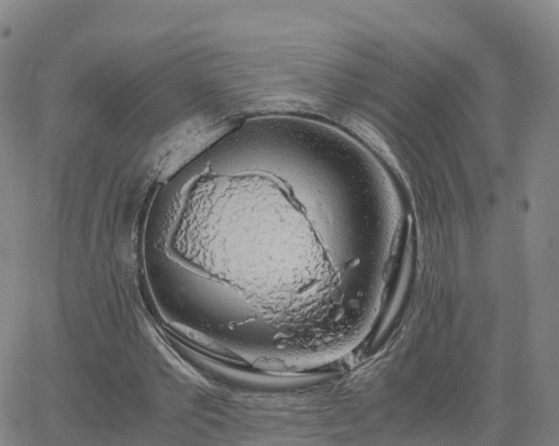 X0000063460389200601271609