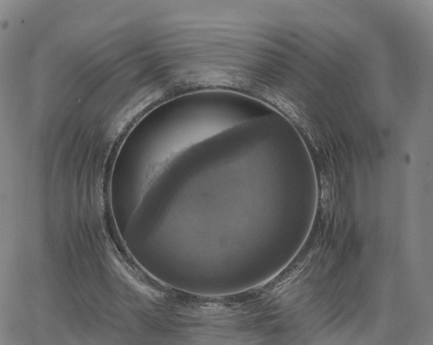 X0000063460390200601271609