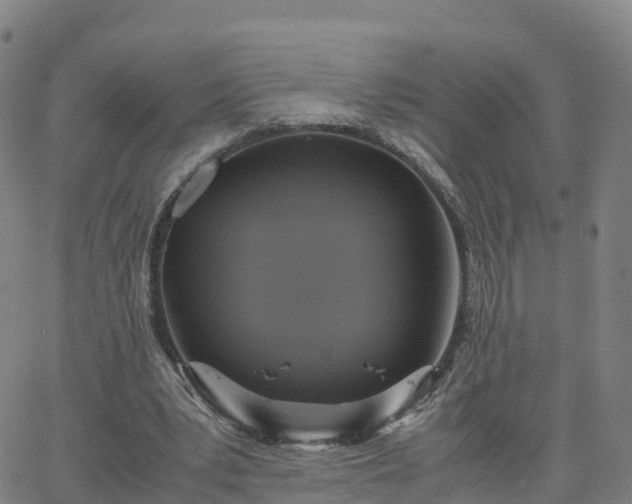 X0000063460391200601271609