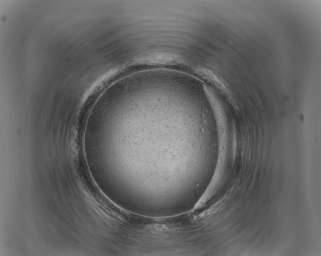 X0000063460392200601271609