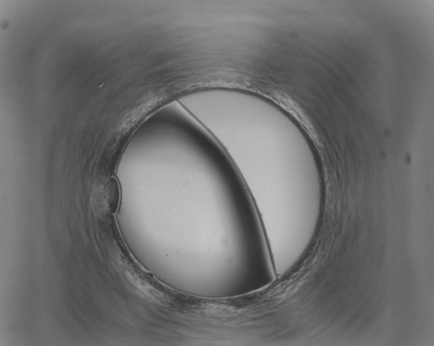 X0000063460393200601271609