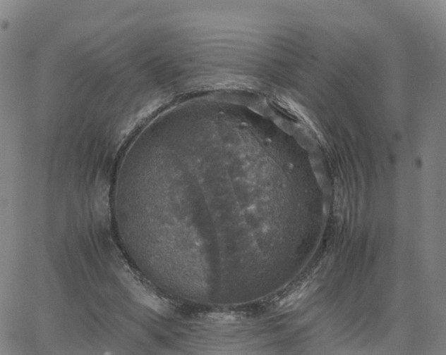 X0000063460394200601271609