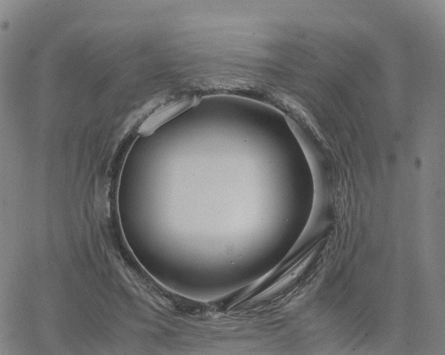 X0000063460395200601271609