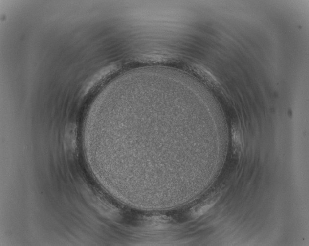 X0000063460396200601271609