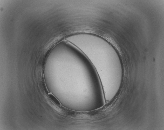 X0000063460397200601271609