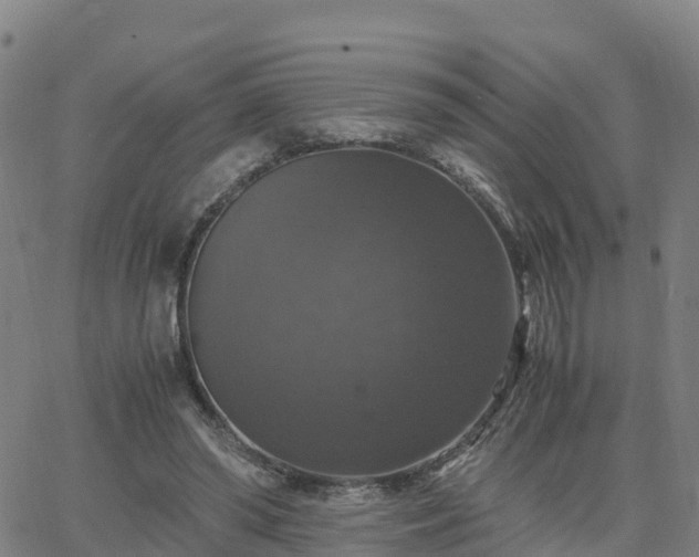 X0000063460398200601271609