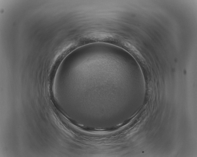 X0000063460399200601271609