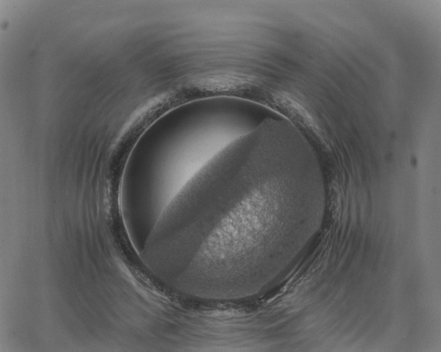 X0000063460400200601271609