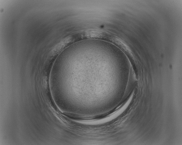 X0000063460401200601271609