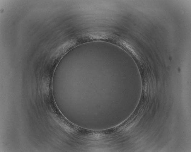 X0000063460402200601271609