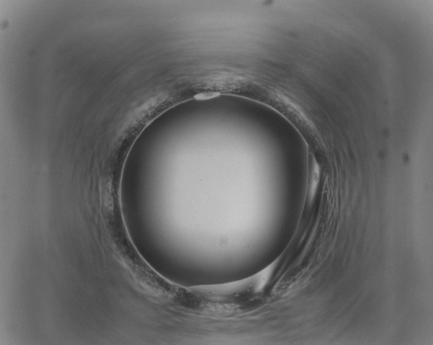 X0000063460403200601271609