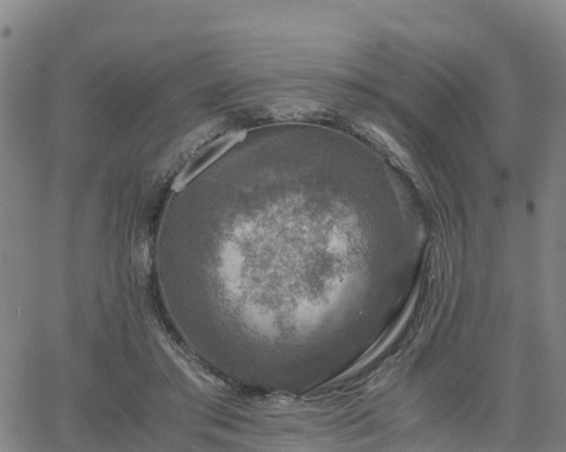 X0000063460405200601271609