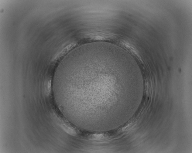 X0000063460406200601271609