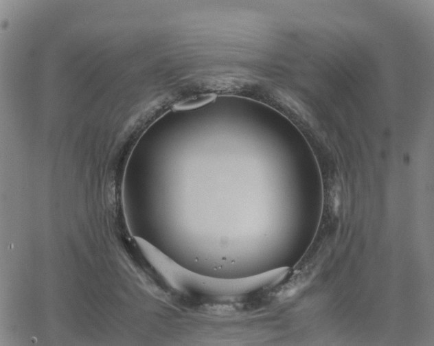 X0000063460407200601271609