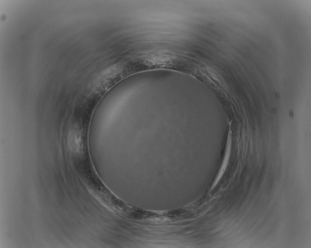 X0000063460408200601271609