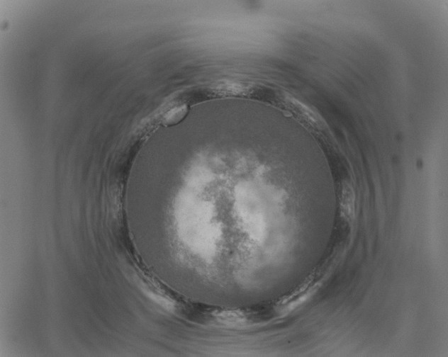 X0000063460409200601271609