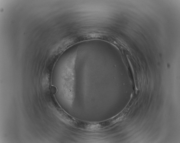 X0000063460410200601271609